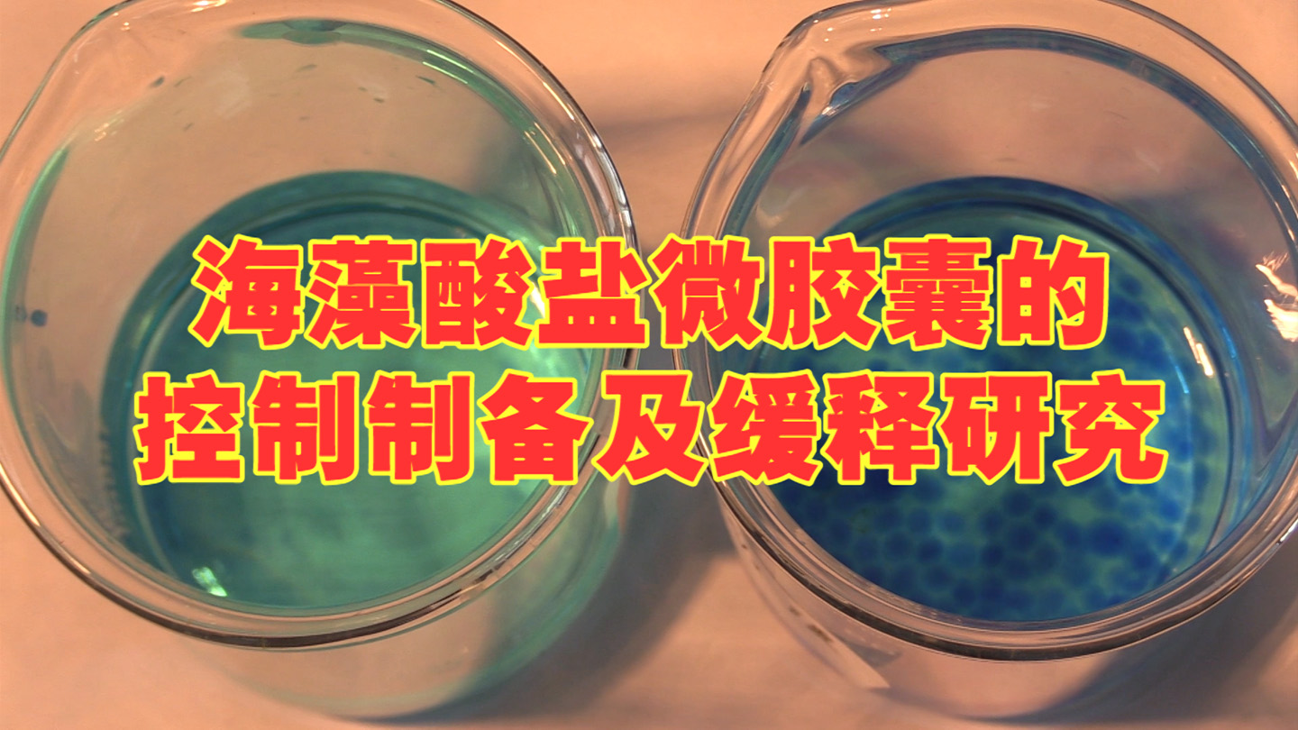 海藻酸盐微胶囊的控制制备及缓释研究