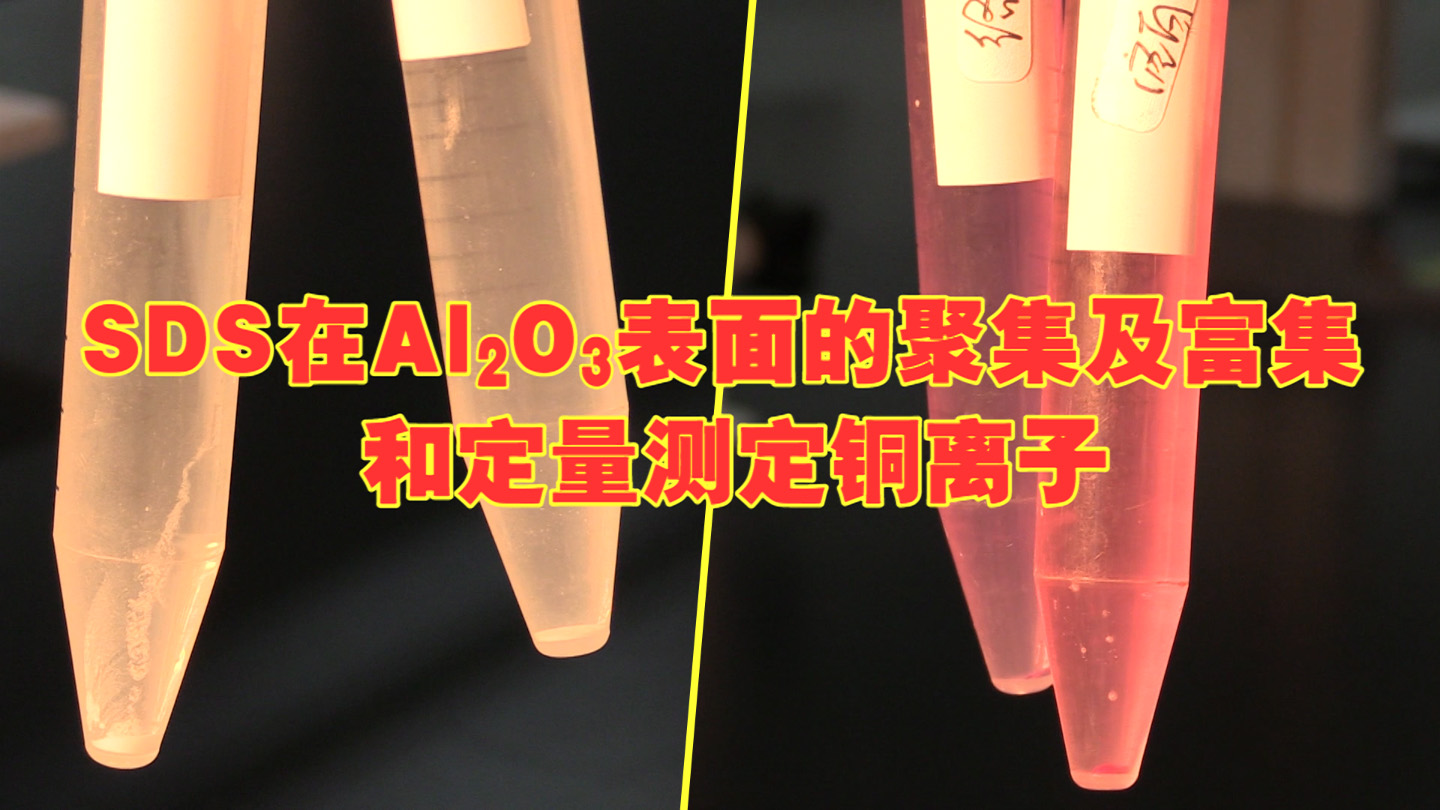SDS在Al2O3表面的聚集及富集和定量测定铜离子